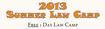 2013 Summer Law Camp